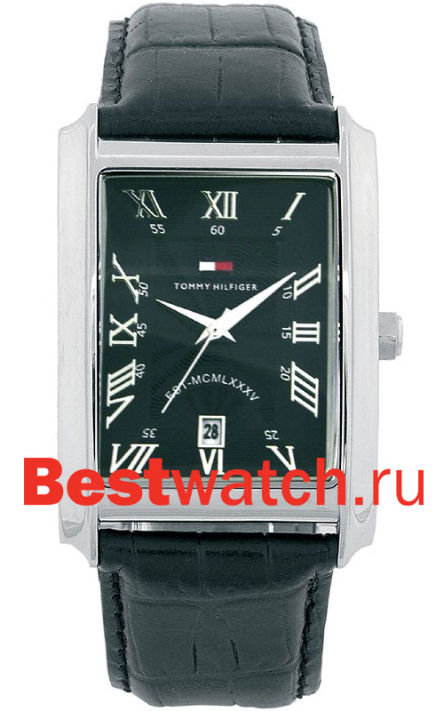 Часы Tommy Hilfiger Flagstaff 1710126